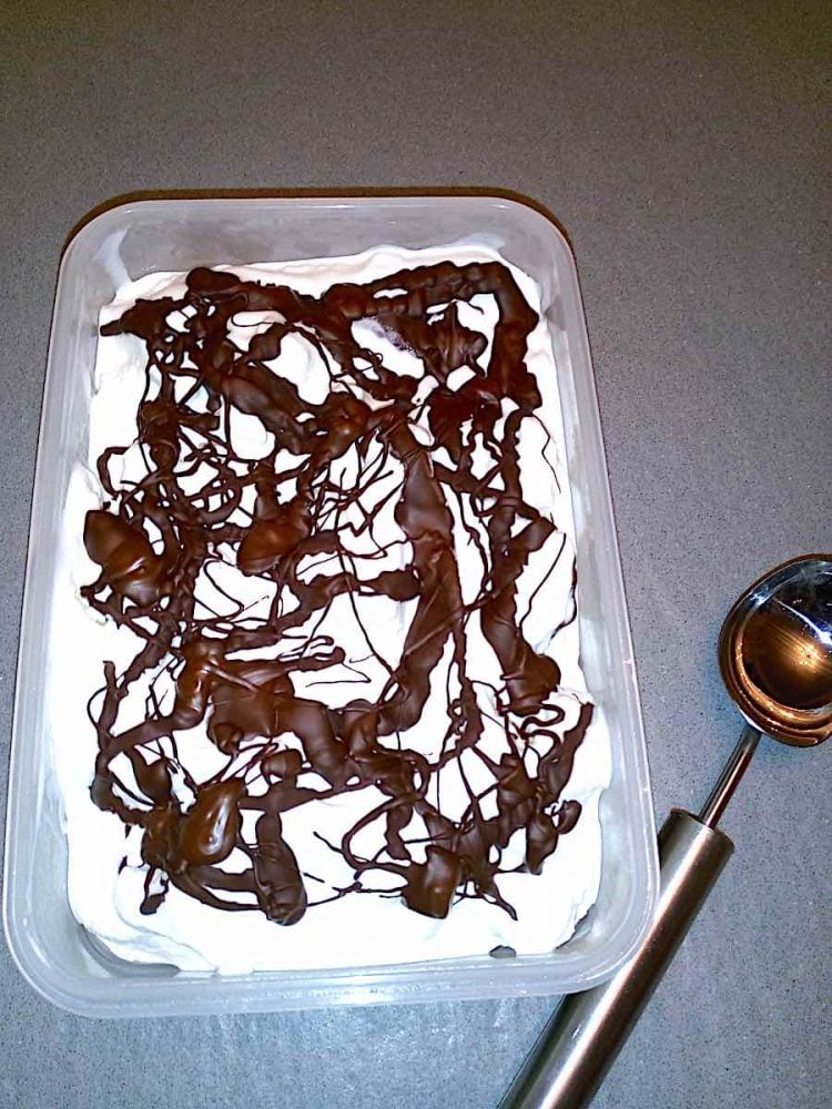 Sugar Free Fiordilatte Gelato Ice Cream