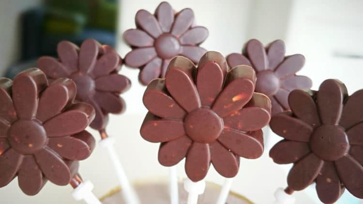 sugar free low carb chocolates with roasted almonds