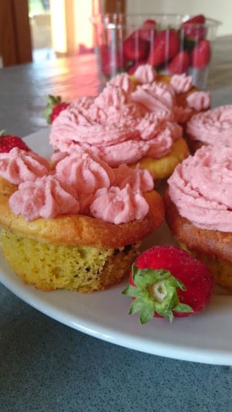 mascarpone & chocolate chip muffins with strawberry icing