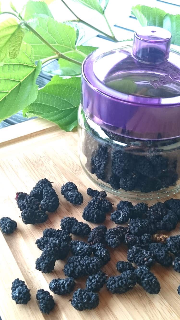 sugar free mulberry sweets-candies