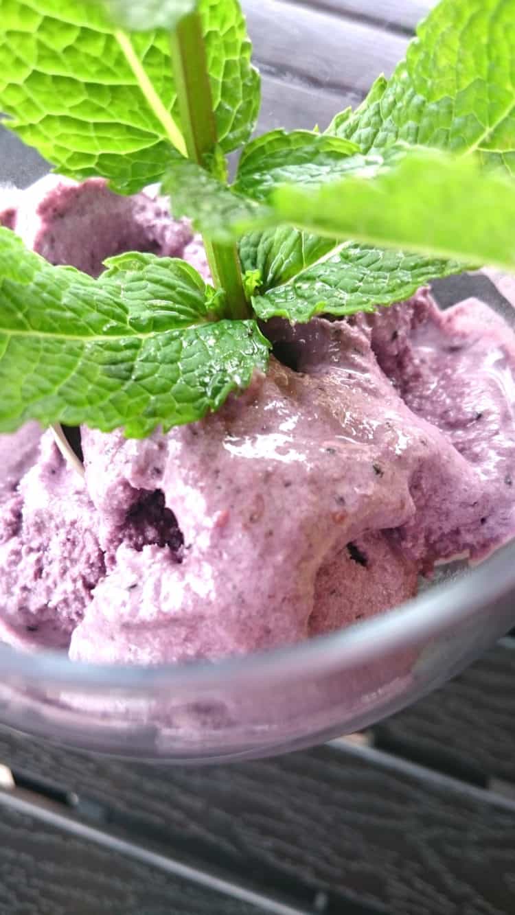 sugar free mulberry mint ice cream