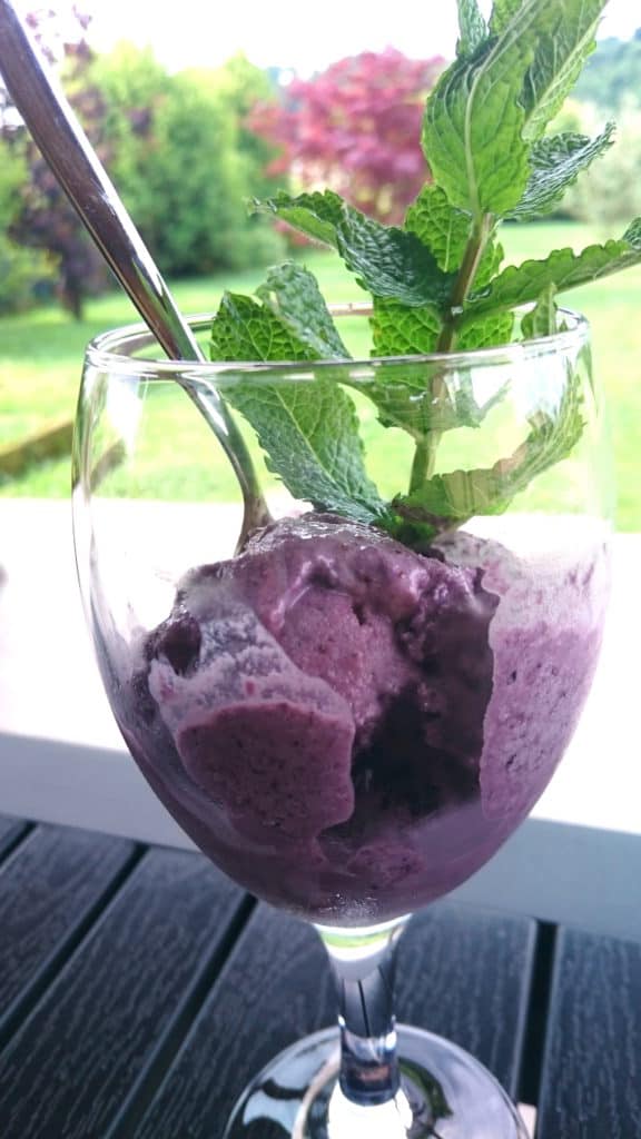 sugar free mulberry mint ice cream