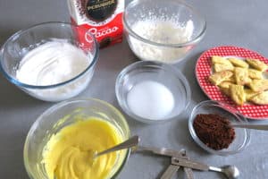 Easy Keto Sugar Free Chocolate Tiramisu