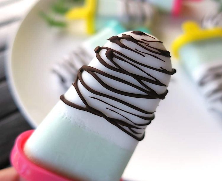 Sugar Free Coconut Mint Chocolate Ice Lollies