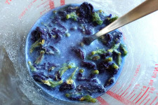Luxury Sugar Free Prosecco Ice Cream Sorbet
