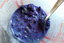 Luxury Sugar Free Prosecco Ice Cream Sorbet