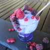 Luxury Sugar Free Prosecco Ice Cream Sorbet