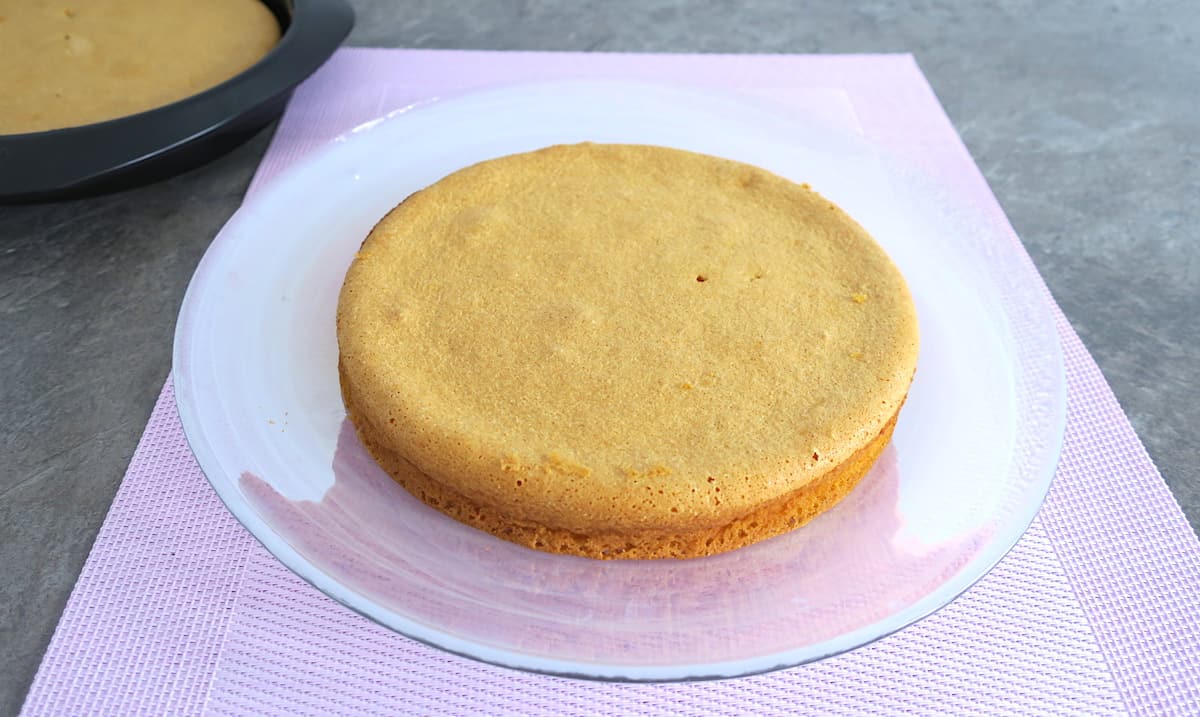Sugar Free Low Carb Pan di Spagna (Italian Sponge)