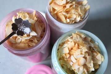 Sugar Free Crunchy Coconut Flakes