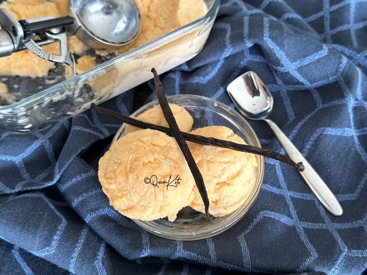 Zero-Carb Carnivore | Dairy-Free Vanilla Ice Cream