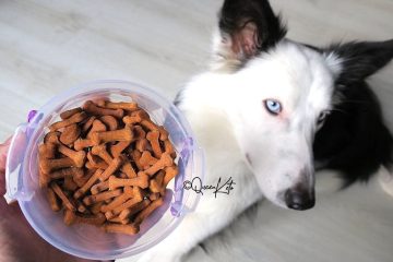 healthy grain free dog treats